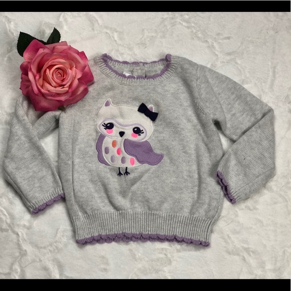Gymboree Gray Owl Sweater size 2T - Picture 2 of 9